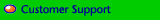 Customer Support