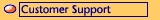 Customer Support